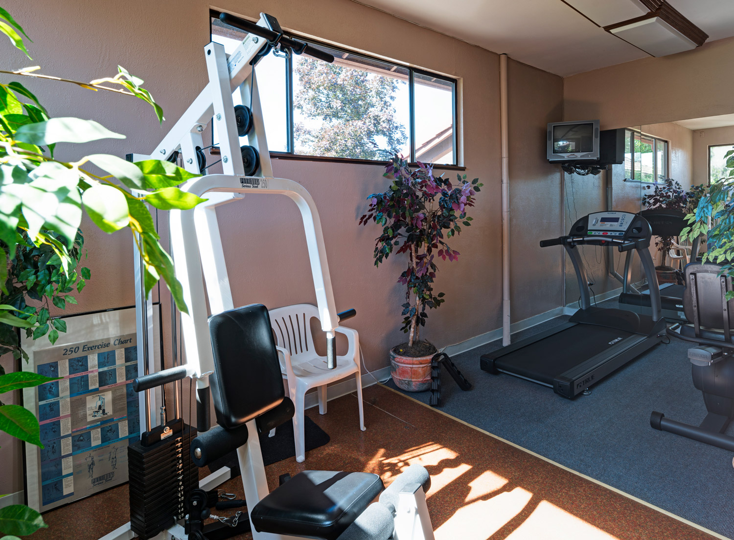 Fitness center with weight machine, treadmill and stationary bike. Small TV mounted to wall.