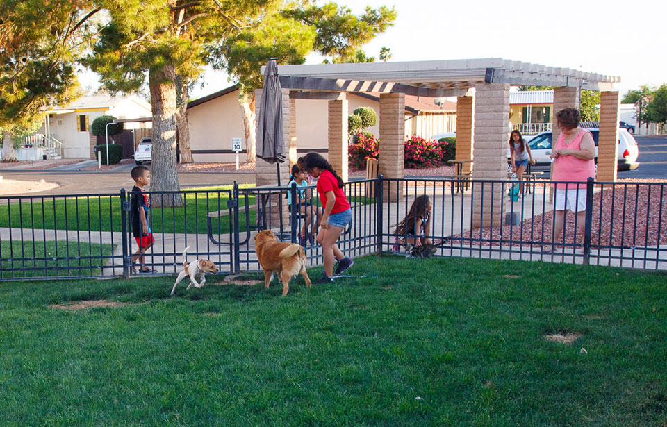 Glendale Cascade is pet friendly with a fenced in pet area. Dogs and cats run leash free while kids watch on and sit at the surrounding picnic tables with umbrellas. A mother talks with a little girl that is petting a cat. An older girl gets ready to skateboard