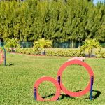 Lamplighter Village, an active 55 plus community, is pet friendly with a pet agility park that is enclosed and green grass.