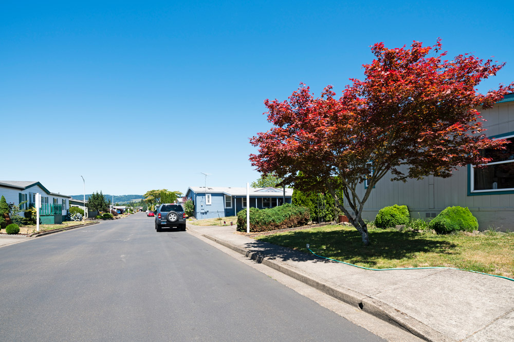 Springbrook, a community for all ages with a view of the Cascade mountains. Wide paved streets with sidewalks in front of the beautiful homes. Well maintained landscapes with luscious trees, green grass, and clean cut bushes and flowers.