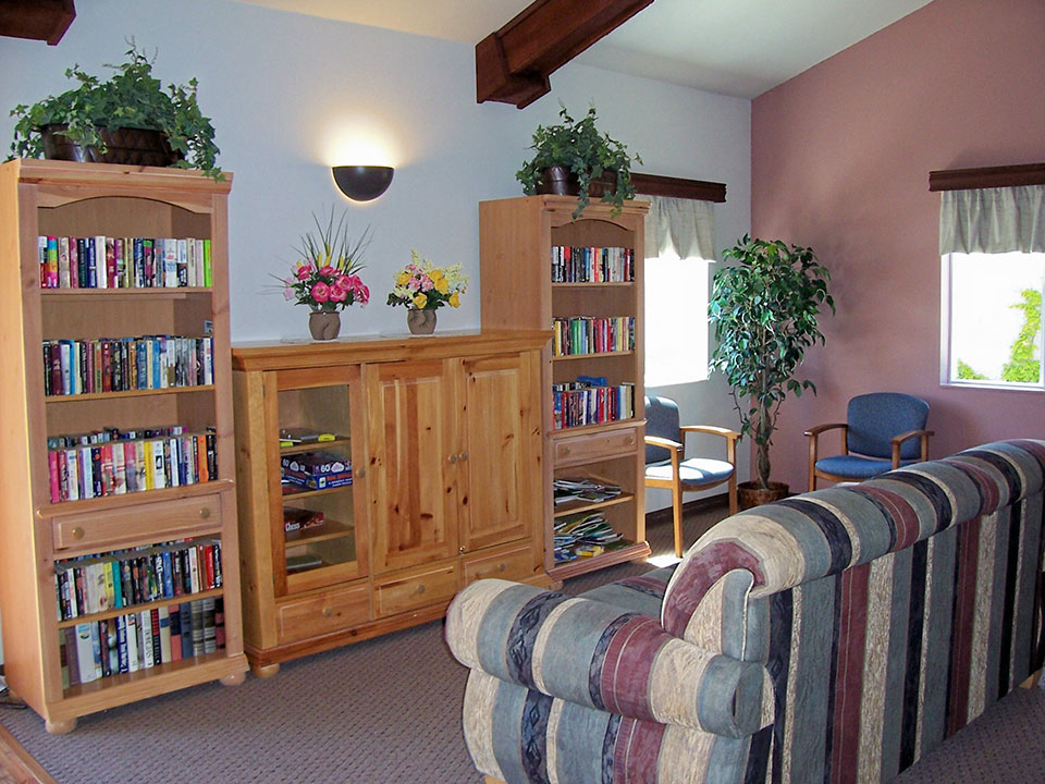 Library room with shelves of books. Couch in front of bookcases and two chairs with fake plant in corner.