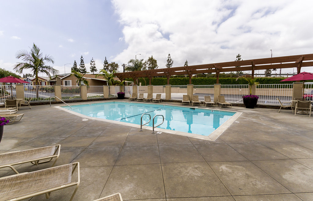 Enclosed outdoor community pool surrounded by lounge chairs for residents to relax under the sun. Open area with ample walking room around the pool.