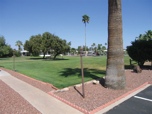 San Estrella, an all age community, has a large grassy field area