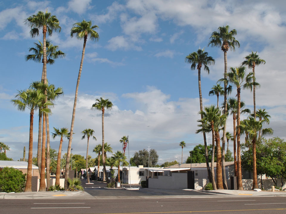 Chaparral Village, an All-Age manufactured home community, displays very tall palm trees at entrance to community.