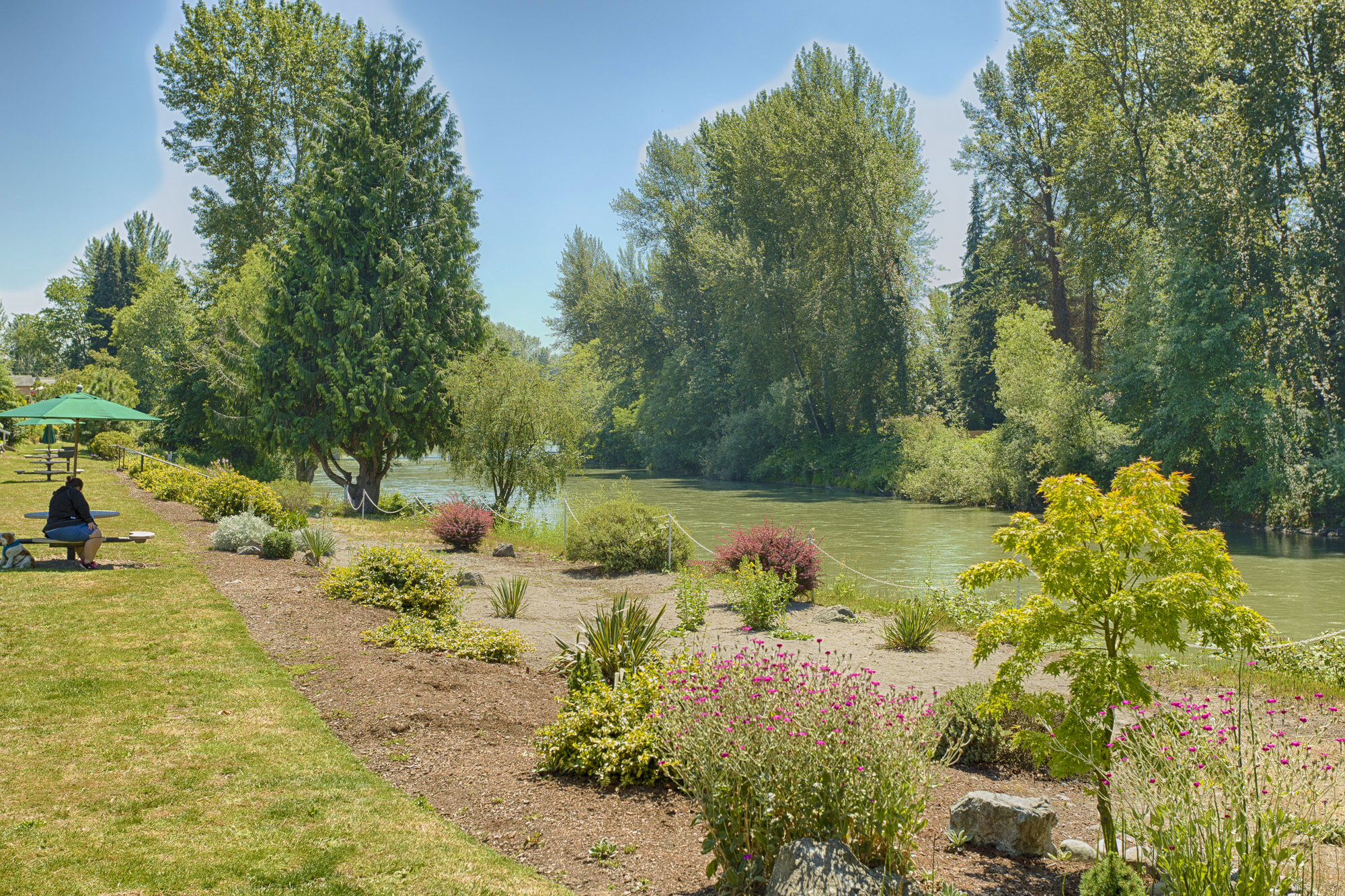 55+ Homes for Sale Washington State