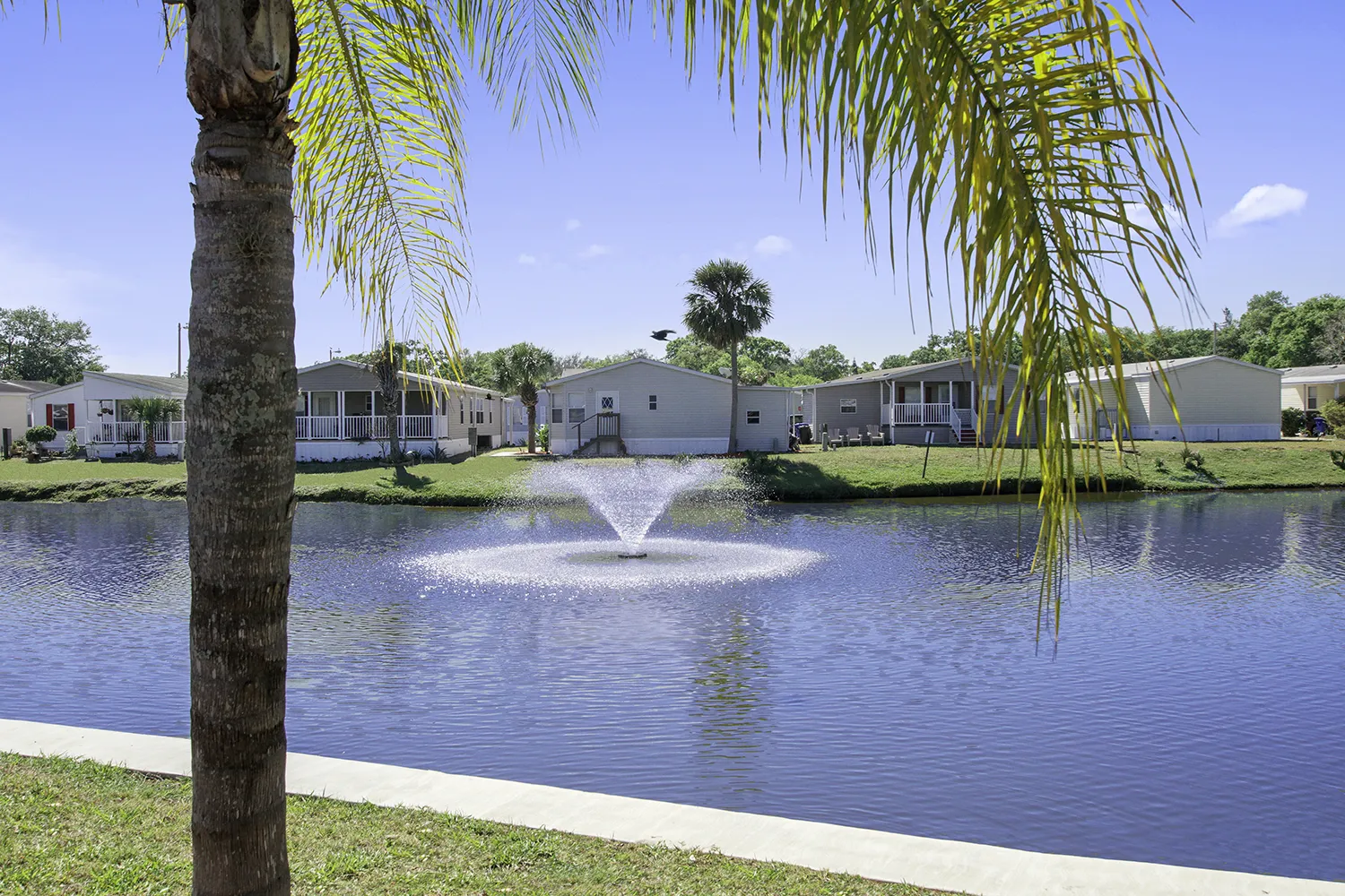 mobile homes in florida for sale village of tampa